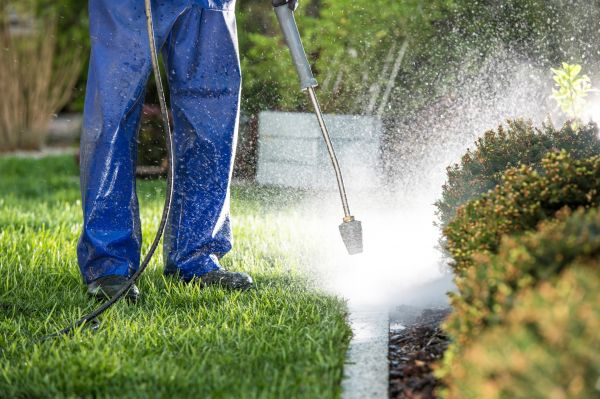 Cost of Curb Cleaning in Orange Park