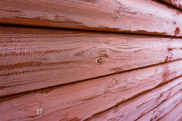 Cost of Cedar Siding Cleaning in Orange Park