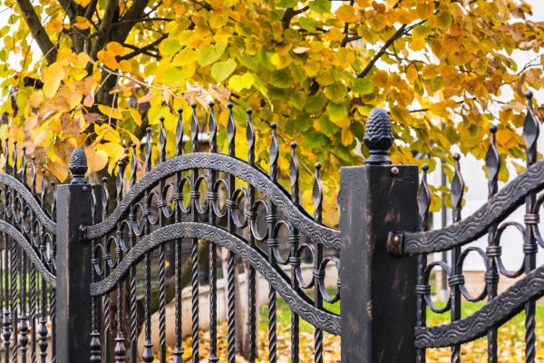 Cost of Wrought Iron Fence Washing in Orange Park