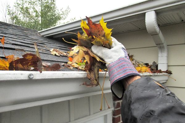 Cost of Eaves Cleaning in Orange Park