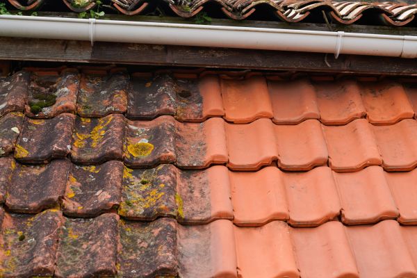 Industrial Roof Cleaning in Orange Park