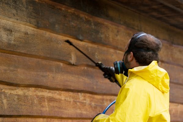 Cost of Cedar Siding Washing in Orange Park
